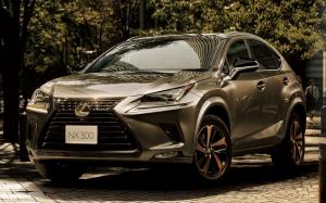 Lexus NX300 Bronze Edition 2020 года (JP)